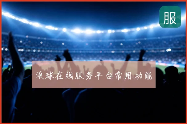 滚球在线服务平台常用功能